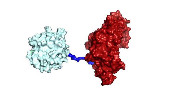 Triển vọng xử lý rác thải nhựa bằng loại enzyme mới