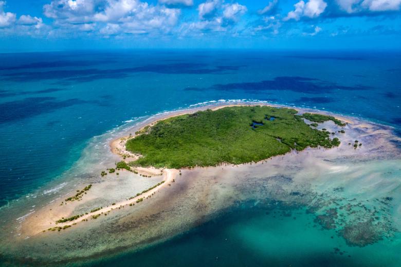 Địa bàn mà Emma Camp đang nghiên cứu ở xung quanh một đảo nhỏ có tên Low Island, cách bờ biển phía đông Australia khoảng 25 km.