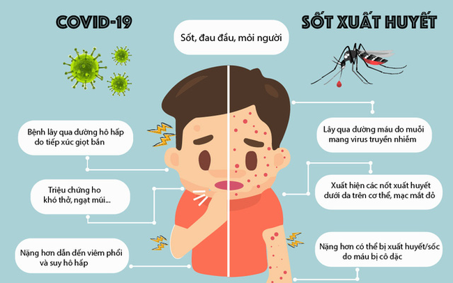 Phân biệt các triệu chứng mắc COVID-19 và sốt xuất huyết