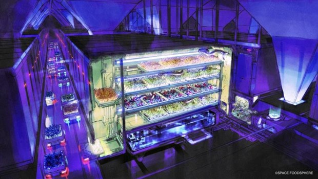 Các nhà khoa học Nhật Bản nghiên cứu sản xuất thực phẩm trên Mặt Trăng