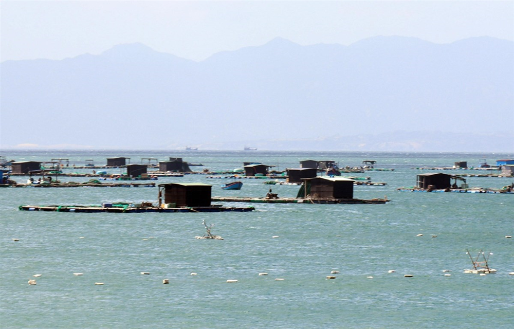 Tăng cường kiểm soát, giảm đáng kể ô nhiễm, bảo vệ môi trường biển