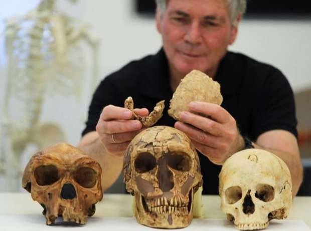 Giáo sư Đại học Tel Aviv Hershkovitz bên cạnh các mẫu hộp sọ mới tìm thấy của "người tiền sử mới"