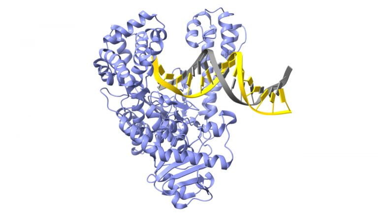 Tạo ra bước nhảy vọt về trình tự gene