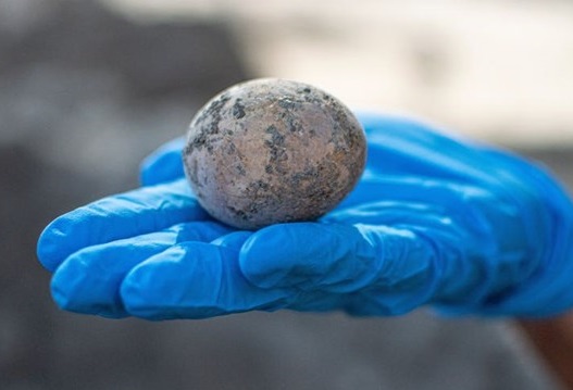 Hình ảnh quả trứng gà 1.000 năm tuổi.