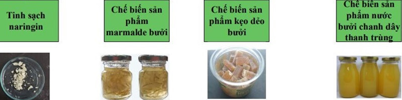 Nghiên cứu phát triển và chế biến thử nghiệm các sản phẩm từ trái bưởi