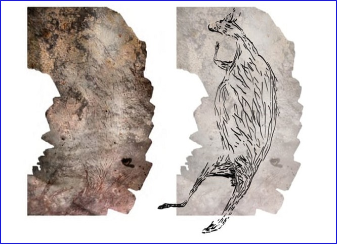 Phát hiện bức vẽ kangaroo trên đá có niên đại lâu đời nhất ở Australia