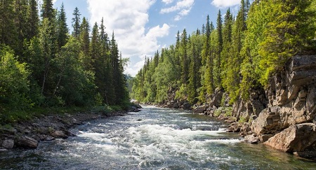 Một nhóm nghiên cứu quốc tế do Giáo sư Sonia Seneviratne tại Viện Kỹ thuật liên bang Thụy Sỹ (ETH Zurich) dẫn đầu đã thành công trong việc phân tích ảnh hưởng của biến đổi khí hậu đối với dòng chảy của các con sông sau khi phân tích dữ liệu từ 7.250 trạm đo trên toàn thế giới.