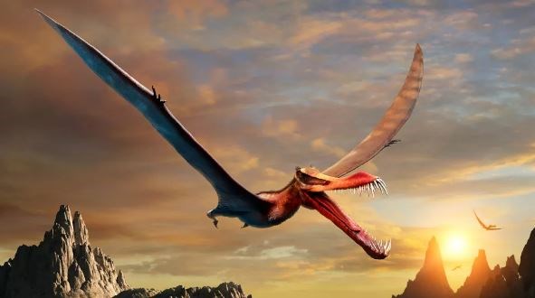 Tìm thấy hóa thạch của “rồng ngoài đời thực” tại Australia
