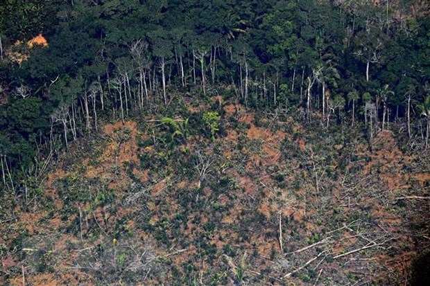 Một khoảng rừng Amazon ở bang Rondonia, miền Bắc Brazil bị tàn phá.