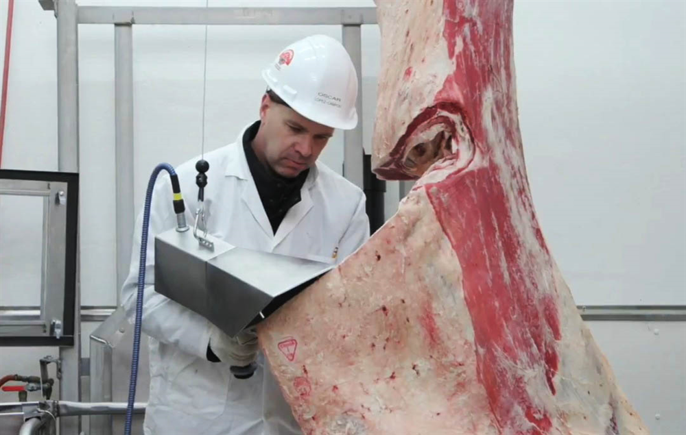 Sử dụng camera tích hợp AI để phân tích chất lượng thịt bò wagyu.