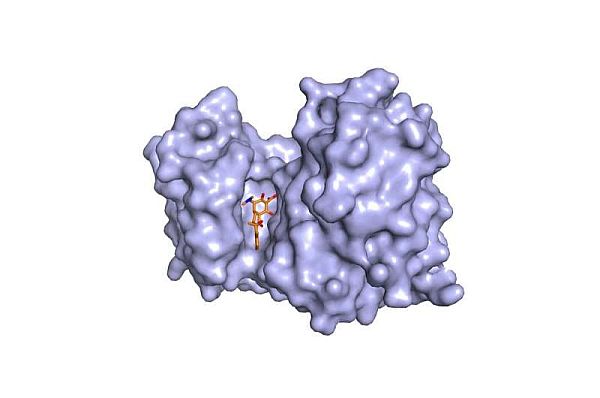 Ba loại thuốc kháng sinh có từ nhiều thập kỷ trước có thể thay thế cho thuốc giảm đau nhóm opioid gây nghiện