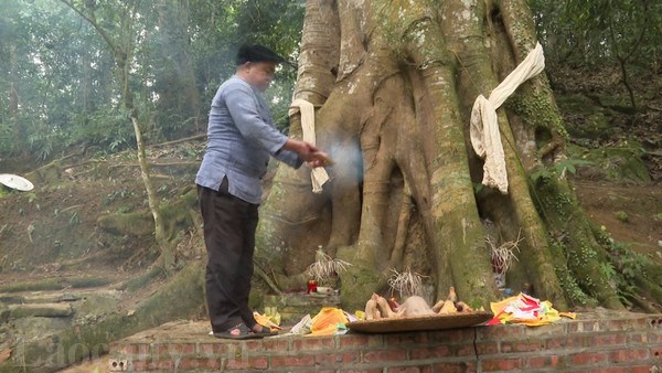 Thầy cúng làm lễ cúng rừng của người Mông huyện Si Ma Cai.