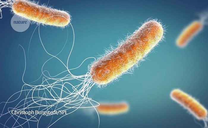 Vi khuẩn biến đồng thành kháng sinh