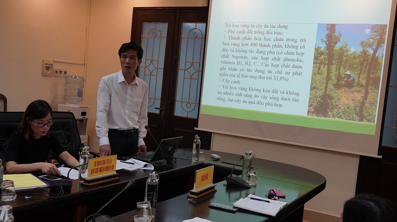 Nghiên cứu xây dựng quy trình kỹ thuật cao trồng trà hoa vàng tại Vườn Quốc gia Cát Bà