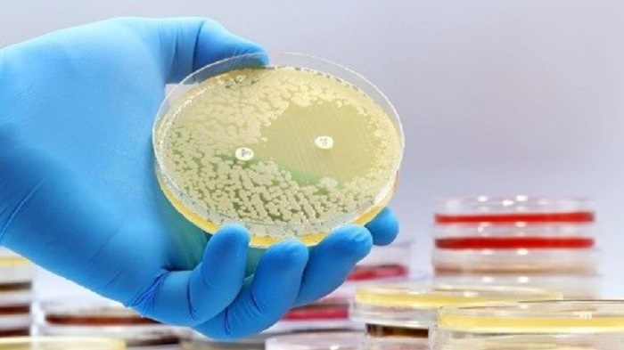 Trí tuệ nhân tạo phát hiện ra loại kháng sinh mới