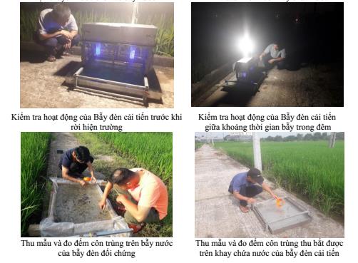 Nghiên cứu cải tiến thiết bị bẫy đèn diệt côn trùng gây hại cây trồng nông lâm nghiệp có hiệu quả cao và sử dụng điện năng lượng mặt trời