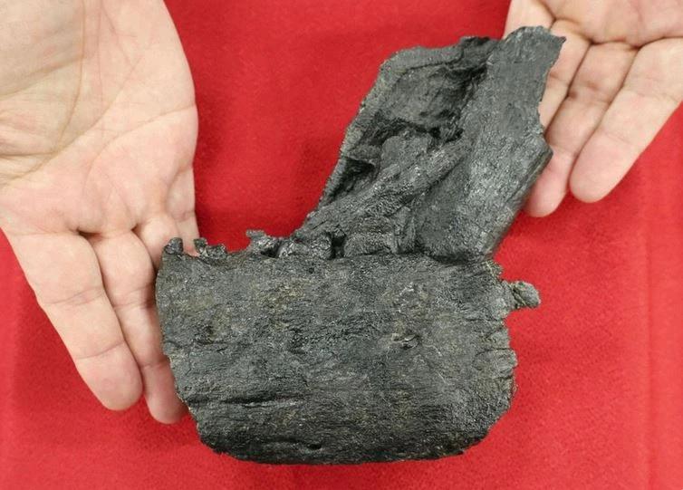 Phát hiện hóa thạch xương hàm khủng long tyrannosaurid lần đầu tiên tại Nhật Bản