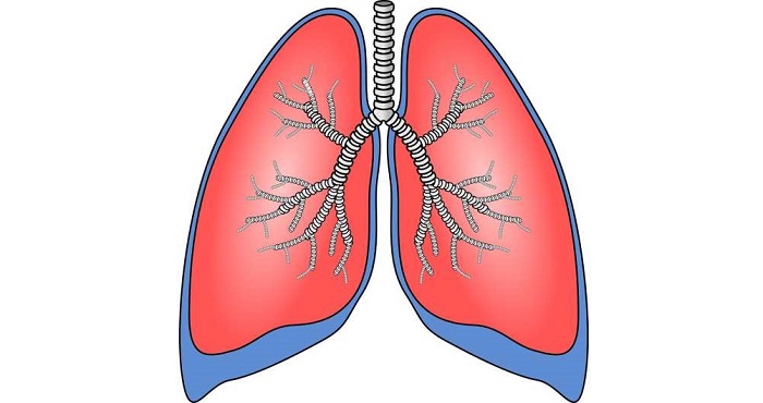 Gabapentinoid gây đợt cấp nặng phổi tắc nghẽn mạn tính (COPD)