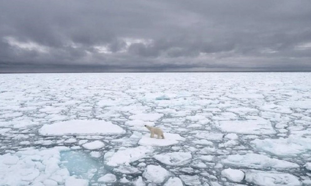 Bắc Băng Dương đối mặt nguy cơ không còn băng vào những năm 2030