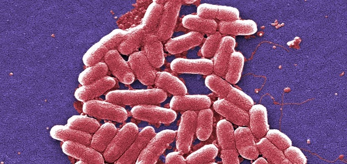 Tạo ra loại kháng sinh mới có thể chống lại được tình trạng kháng thuốc của vi khuẩn