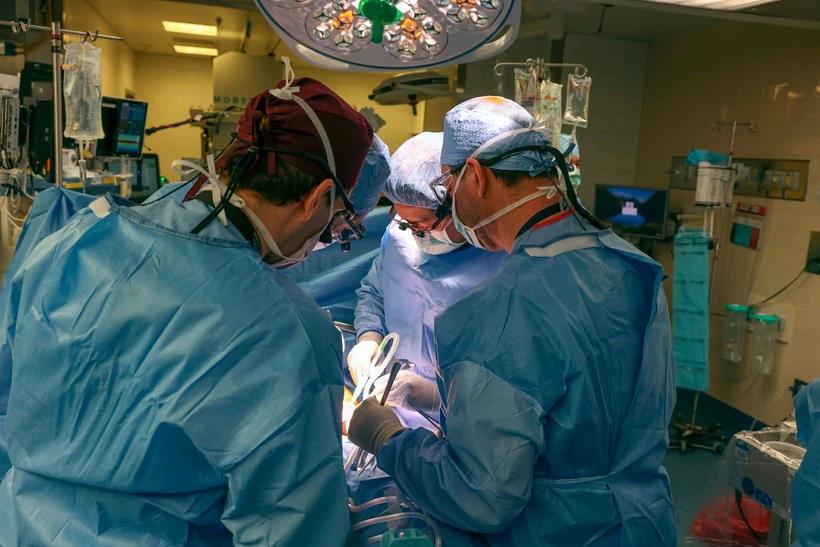 Phẫu thuật ghép thận lợn chỉnh sửa gene đầu tiên trên thế giới cho người sống