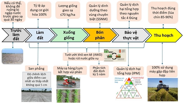 Quy trình kỹ thuật sản xuất lúa chất lượng cao và phát thải thấp vùng Đồng bằng sông Cửu Long