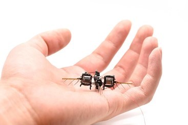 Phát triển robot siêu nhỏ có thể có thể thụ phấn nhân tạo cho cây trồng và thực phẩm