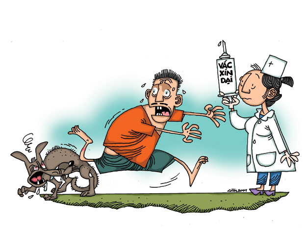 Mùa hè, thận trọng với bệnh dại