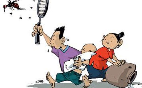 Phòng bệnh sốt xuất huyết như thế nào là hiệu quả nhất?