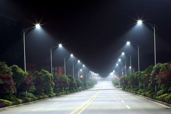 Ánh sáng đèn LED có thể tác động lớn đến động vật hoang dã