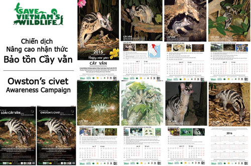 Bảo tồn cầy vằn quý hiếm ở Việt Nam