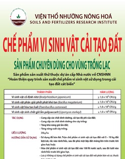 Chế phẩm vi sinh vật cải tạo đất chuyên dùng cho vùng trồng lạc