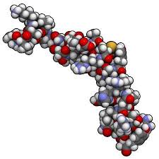 Phát hiện ra protein ức chế các bệnh tuổi già