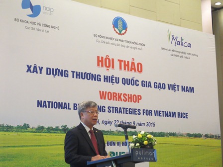 Xây dựng thương hiệu quốc gia gạo Việt Nam