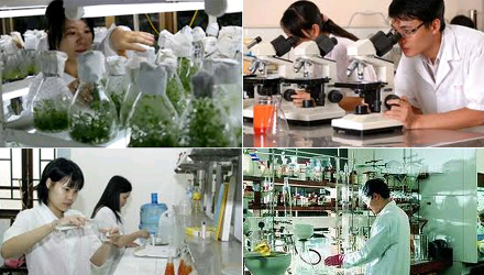 Phê duyệt danh mục các nhiệm vụ nghiên cứu khoa học và phát triển công nghệ