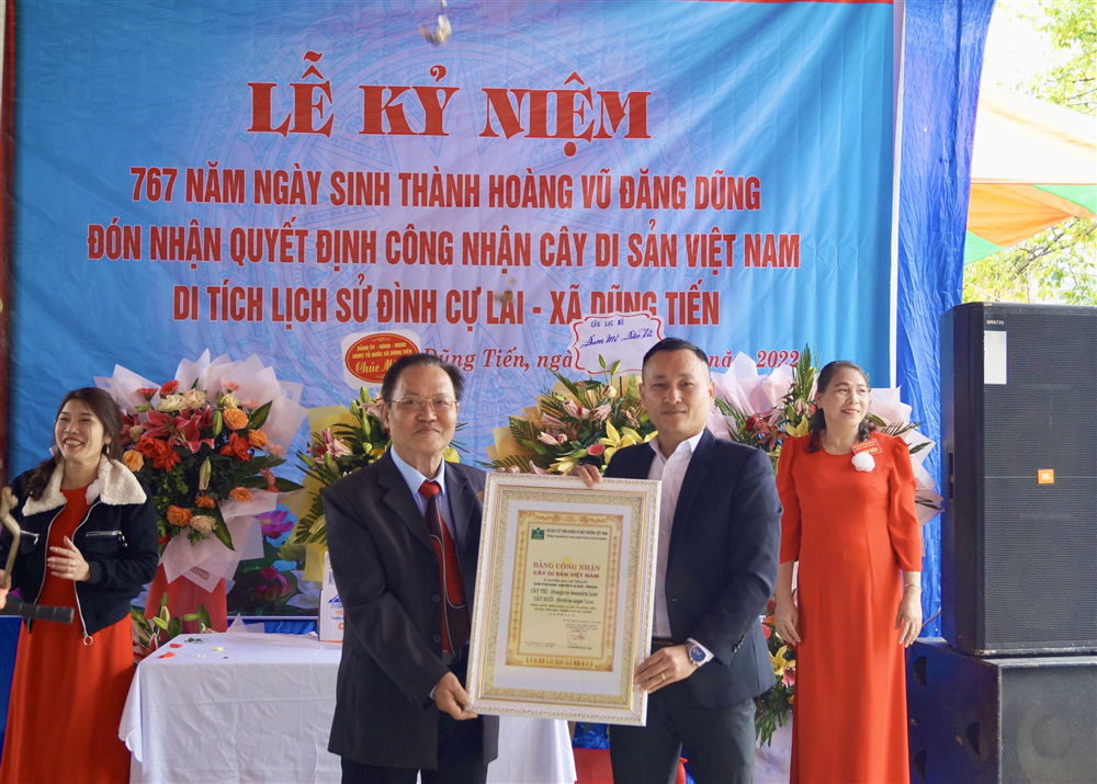 Công nhận cây di sản Việt Nam tại di tích Đình - Chùa Cự Lai