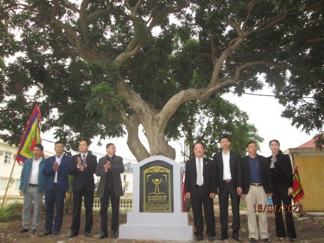Công nhận cây di sản  tại di tích Đền - Chùa làng Ngọ Dương