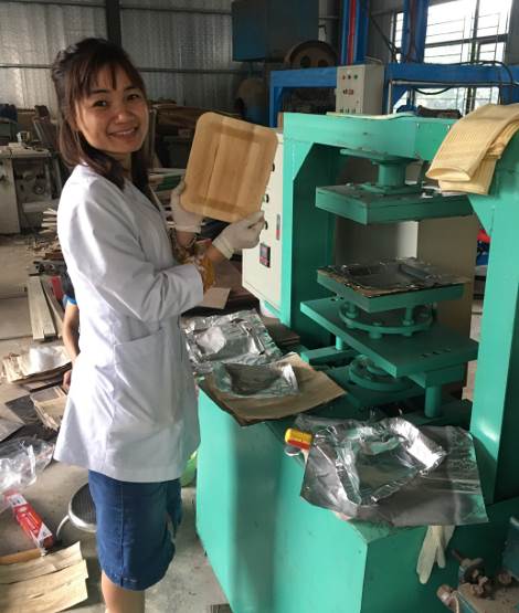 Nghiên cứu chế tạo máy ép định hình và xây dựng quy trình sản xuất túi, khay đựng thực phẩm từ bẹ chuối, bẹ cau