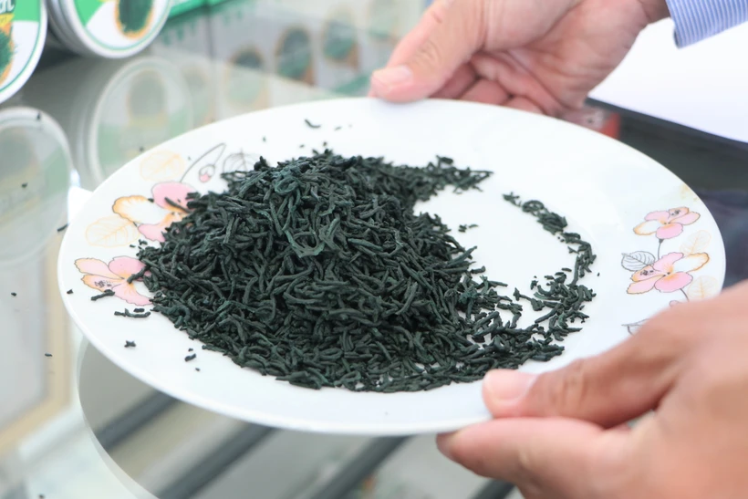 Quảng Ngãi: Sử dụng công nghệ cao nuôi trồng tảo xoắn, thu lợi hàng tỷ đồng