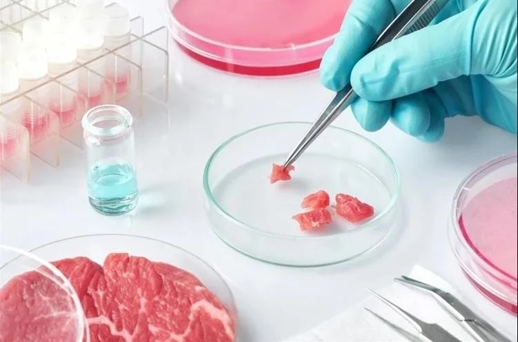 Thịt nhân tạo liệu có thể thay thế được thịt truyền thống trên bàn ăn?