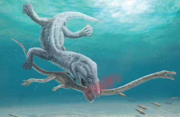 Phát hiện mới về nguyên nhân tuyệt chủng của “quái vật” biển cổ dài