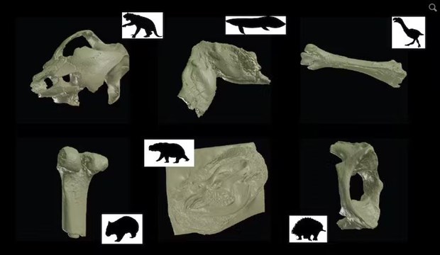 Australia ra mắt bảo tàng 3D sống động về các hóa thạch cổ đại