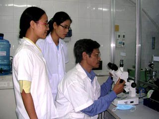 Thành lập ngân hàng tế bào gốc tại TP Hồ Chí Minh