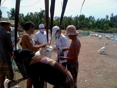 Tháng 3/2012: Ra mắt vắc-xin H5N1 cho gia cầm