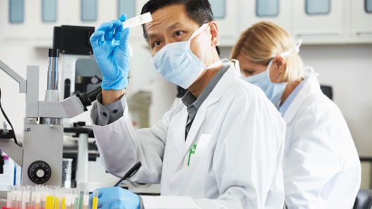 Vinh danh nhà khoa học tự nhiên nghiên cứu cơ bản 