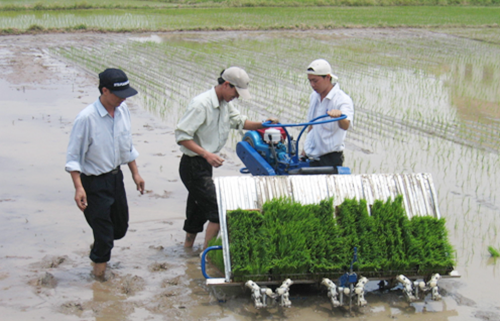 Chế tạo máy cấy cho nông dân 