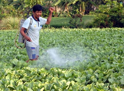 Một số lỗi trong việc sử dụng thuốc bảo vệ thực vật của nông dân