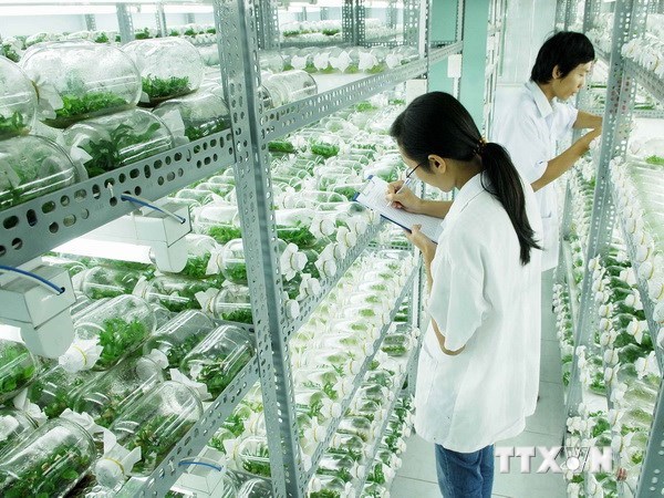 Doanh nghiệp Việt Nam tốt nghiệp trại huấn luyện công nghệ sạch 