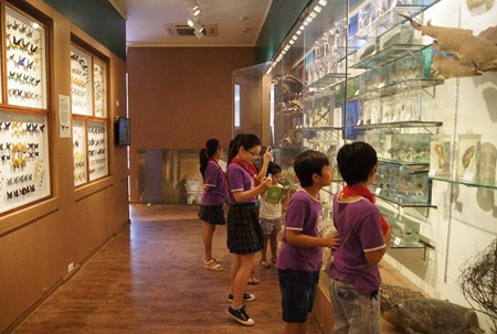 Khai trương Phòng trưng bày Tiến hóa sinh giới tại Bảo tàng Thiên nhiên Việt Nam