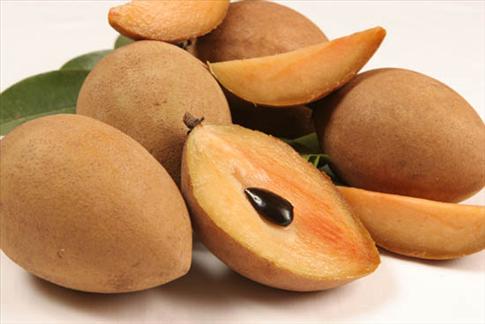 Vị thuốc quý từ quả hồng xiêm 